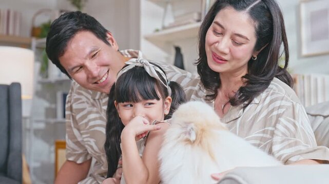 Slow motion Happy Asian family bonding and petting their cute small white Pomeranian dog on the sofa in their modern living room.