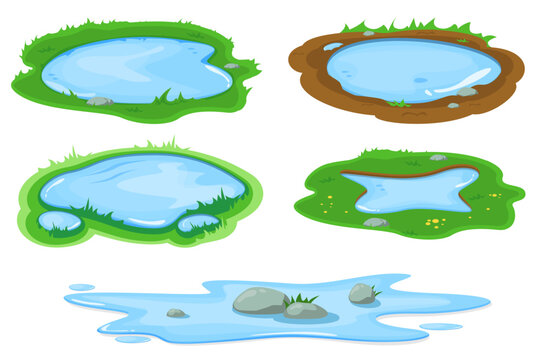 Water puddle in grass set vector isolated. Illustration of a small pond or swamp. Outdoor environment scene. Stone in the water. Grass around the puddle.