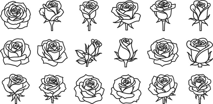 Black line of roses on white background line black and white floral flowers botanical simple white background