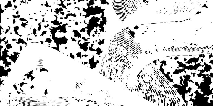 Grunge black and white leopard print pattern background featuring ink splash splatters and a vintage paint texture frame design