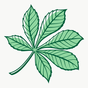 Green palmately compound leaf with dark outline.
