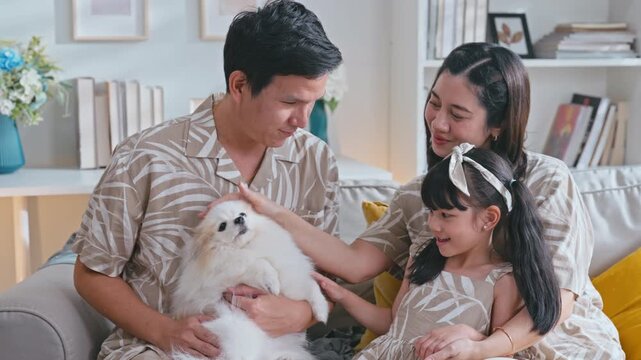 Slow motion Happy Asian family bonding and petting their cute small white Pomeranian dog on the sofa in their modern living room.