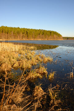 Dlugie lake at sunny spring day in Wesiory, Kashubia, Poland