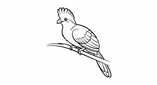 A black and white illustration of a crested bird perched on a branch