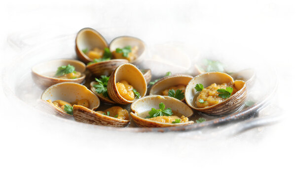 Clams seafood shellfish steamed clams with fresh parsley garnish served in a pan isolated on a transparent background