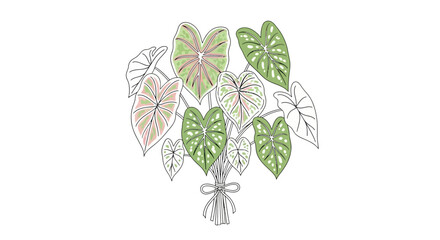 Collection of green tropical leaves. © Art Sof galery photo