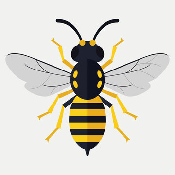 Bee wasp insect flying animal nature vector illustration design icon set