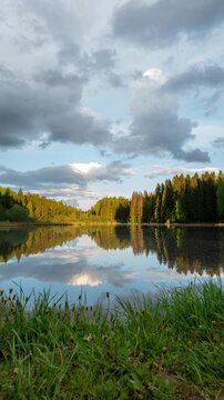 Peaceful Forest Lake with Reflection and Grass Foreground Vertical Relaxing Nature Scene