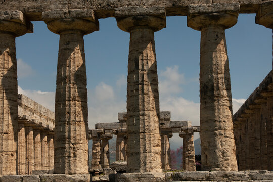 Ancient Greek Doric columns of the Temple of Hera in the archeological park of Paestum, Italy
