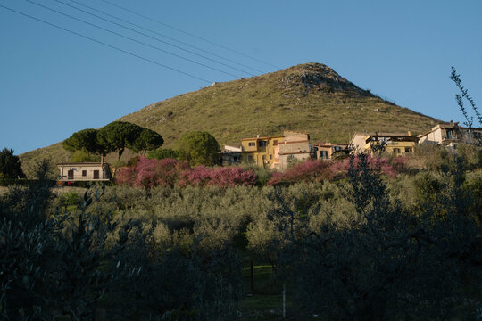 Scenic view of the medieval hilltop village of Fara in Sabina surrounded by olive groves in the Lazio region, Italy