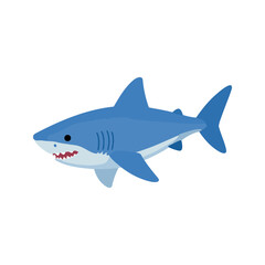 Obraz premium Blue shark, known for its large size and long pectoral fins, is a requiem shark and roams the depths of temperate and tropical oceans.