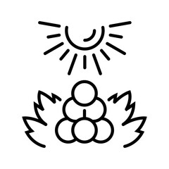 Fototapeta premium Grape cluster icon. Food and fruit line symbol. Black and white.