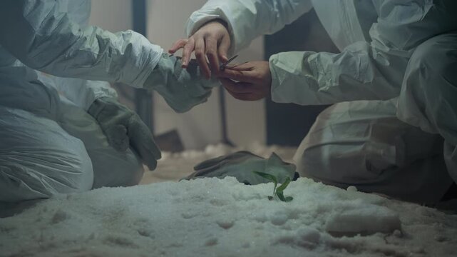 Researchers in hazmat suits tending sprout on snowbed inside abandoned lab gloved hands use tweezers to remove frost and inspect sample sterile protective gear, cold blue light, tense hopeful