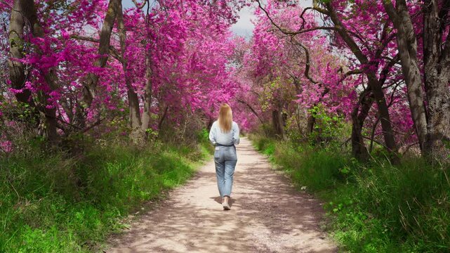 Cheerful young woman walking forward on scenic path while taking photos with professional camera, surrounded by vibrant tunnel of pink blossoming trees during sunny spring day