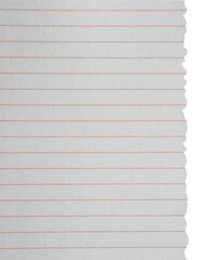 Naklejka premium White lined notebook paper texture with a vertical ragged torn edge