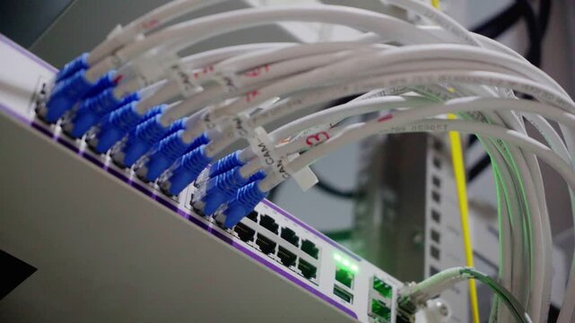 A professional network hub with ethernet patch cables and a patch panel connects hardware equipment for high-speed data communication in a digital server datacenter environment