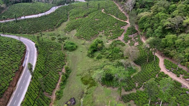 Wide cinematic aerial of Valparai highlighting terraced tea gardens, serpentine roads, and forested slopes, offering a stunning view of nature and plantation landscapes.