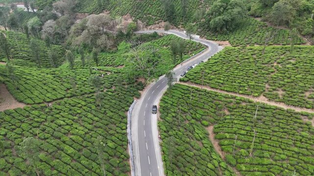 Drone shot capturing the scenic beauty of Valparai with neatly patterned tea estates, curving hillside roads, and rich greenery creating a tranquil and picturesque environment.