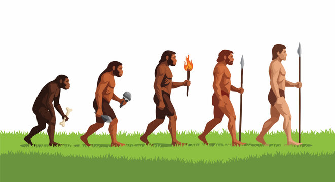 Human evolution theory vector illustration, biological development from ape to modern man, primitive ancestors timeline on green grass