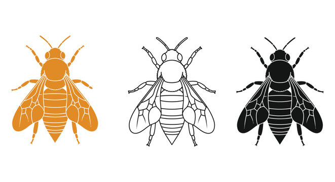 Bee illustration set including colorful, line, and silhouette vector graphics