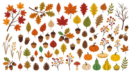 Autumn Leaves and Fall Elements Collection. © Siwit