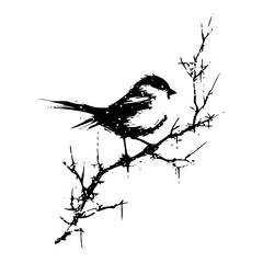 small bird perched on a bare thorny branch with grunge ink splatter © UrbanDruid