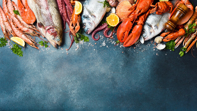 Fresh seafood. Wide assortment of fish, shrimp, lobster, octopus and other marine life. On a gray textured stone background. Free space for text or design.