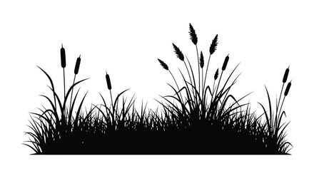 Black silhouette of cattails and grasses against a white background © Baby Collection