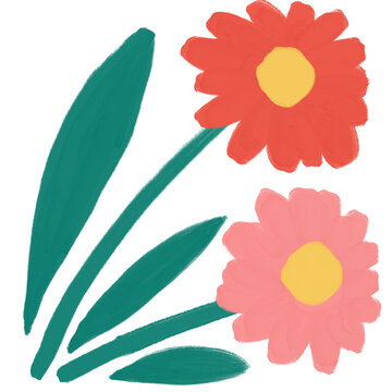 Sweet pink daisy stems in playful bloom