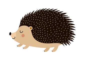 Cute hedgehog isolated on white background. Adorable woodland animal in cartoon style. Print for kids or nursery design. Vector illustration © juliyas