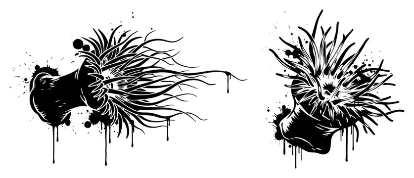 Sea anemones with tentacles in black and white ink splatter urban style