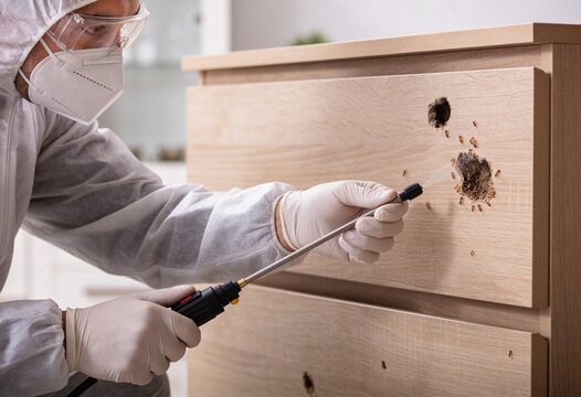 A pest control worker in a hazmat suit and mask sprays an infested wooden dresser with visible termites.