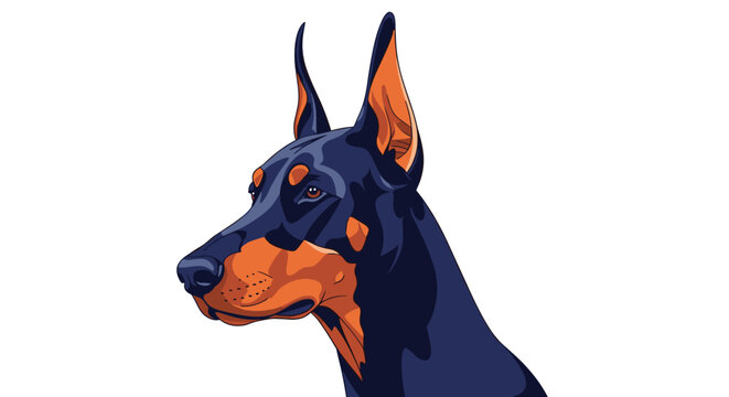Detailed portrait of a Doberman pinscher dog looking to the side with alert ears and dark fur against a clean white background.