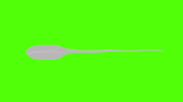 Green Screen Animated 3D Sperm with Matte