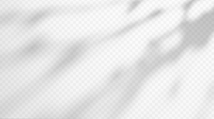 Naklejka premium Abstract shadow overlay from tree foliage on transparent background. Soft blurred leaf shade effect created by natural sunlight.