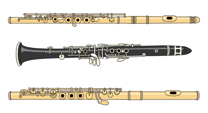 Woodwind musical instruments including a flute and clarinets isolated on a plain white background.