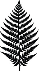 Obraz premium Intricate black and white illustration of a fern leaf showcasing detailed natural patterns Vector, illustration