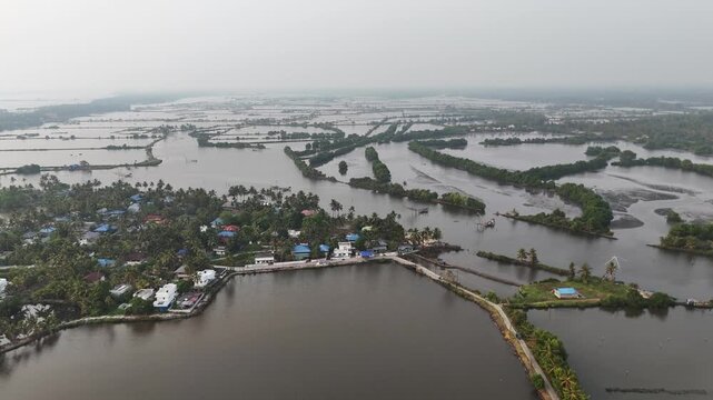 Drone footage reveals expansive Kerala backwaters with interconnected lagoons and canals. Lush coconut palm groves surround colorful village homes with blue rooftops. Narrow roads wind through the tro