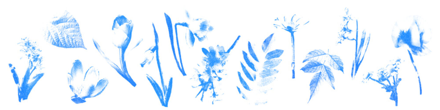 Blue cyanotype floral elements set. Halftone flowers and leaves with vintage stipple dot texture, stickers for scrapbook and collage Modern retro vector illustration isolated on transparent background