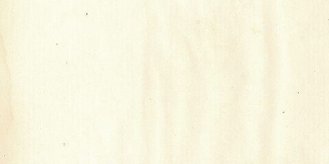 Fototapeta premium Neutral Off-White Wood Grain Surface Backdrop for Modern Product Branding and Elegant Website Headers