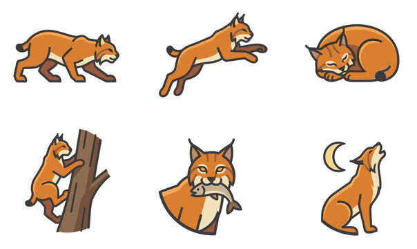 Set of cute bobcat vector illustrations in various poses including walking, jumping, sleeping, climbing, eating fish and howling at the moon. Wild feline flat line art icons.