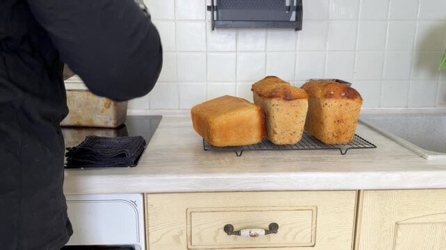 Person in oven mitts places a fresh loaf of homemade bread onto a cooling rack in a kitchen. Three loaves of bread are cooling on the counter. Focus on the warm, freshly baked goods