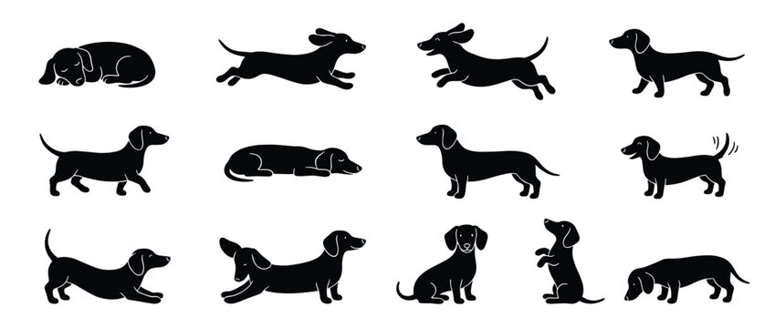 Dachshund dogs in various poses including sleeping, running, walking, sitting, and stretching, depicted as black silhouettes.