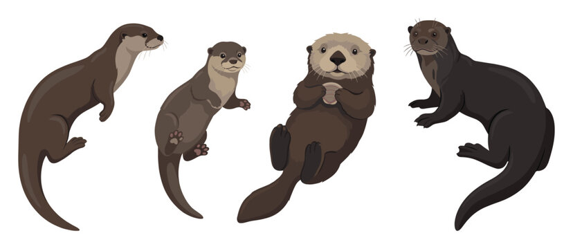 Four adorable otters in various poses, including a sea otter holding a shell, illustrating their playful nature.