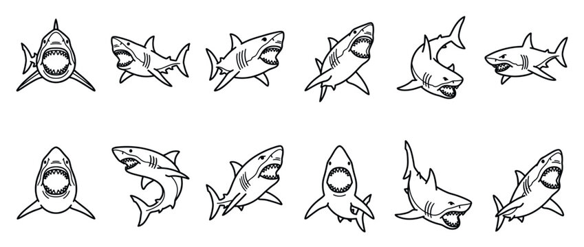 Set of black and white line art sharks depicting aggressive marine predators with wide open jaws and sharp teeth in various poses.