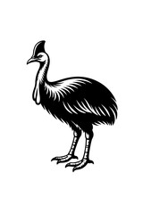 Obraz premium A black and white illustration of a large bird with a distinctive casque on its head standing on two legs
