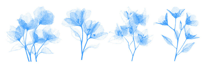 Fototapeta premium Blue cyanotype herbarium plant set with X-ray effect. Grunge style flowers. Vector.