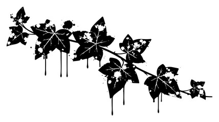 Ivy vine with leaves and ink splatters in artistic grunge style © Wuszu