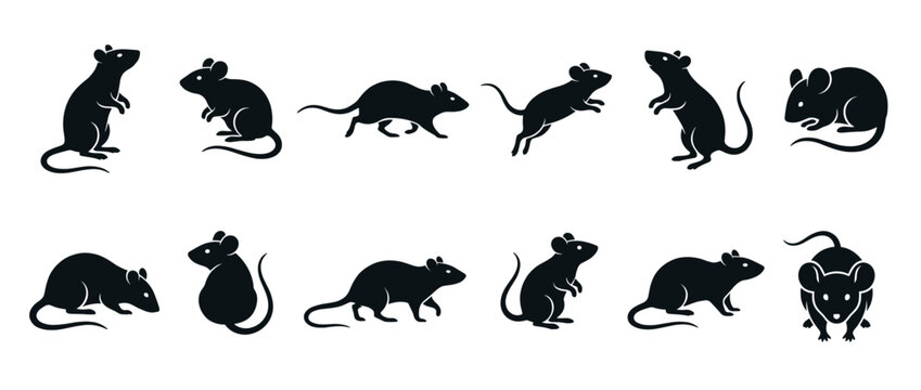Rats mice rodents silhouettes set showing various poses and movements in a collection of vector icons for graphic design.