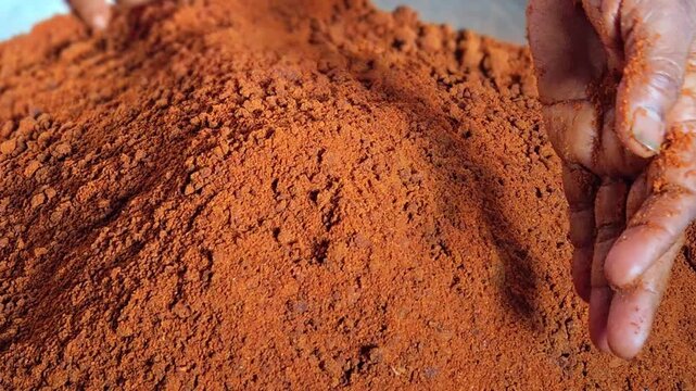 To refine rural Reshampatta and Byadgi chili powder, hand-rub or crush any stubborn clumps between your palms. This manual de-clumping ensures a perfectly even, fine texture for your homemade blend. 